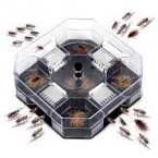 zamka za bube i zohare